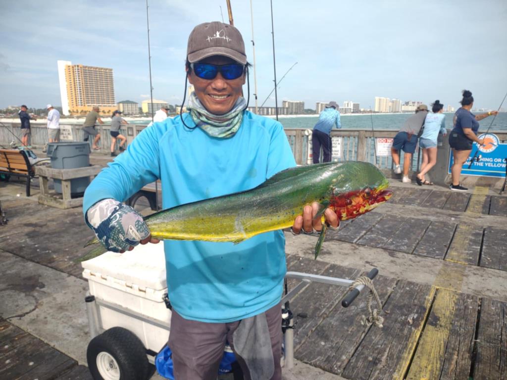 Pier Mahi Mahi